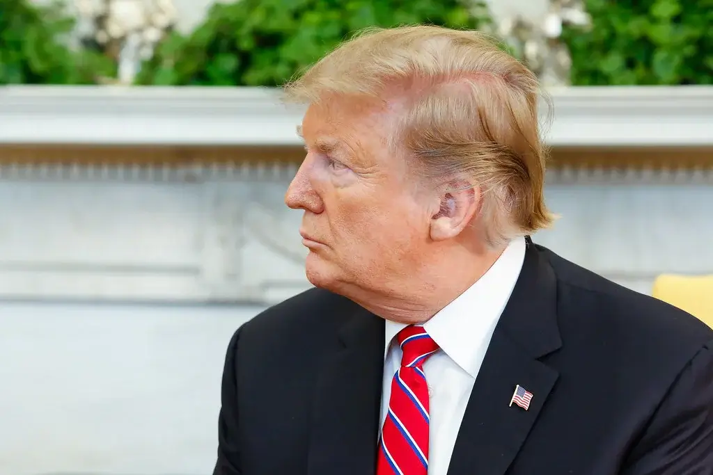 Trump Hair